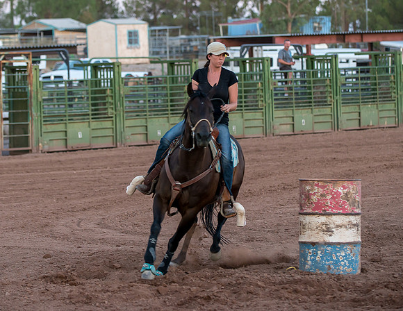 Super Horse Jackpot'14-5315