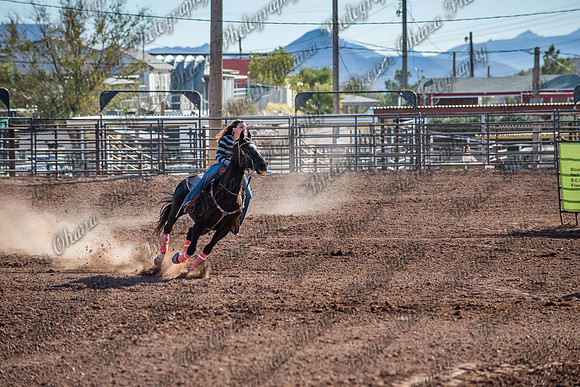 Superhorse Jackpot 11-29-14-3975