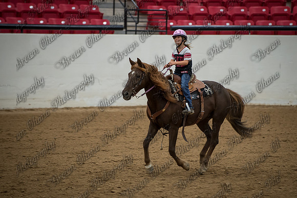 Buckles and Barrels for Bailey '14-1