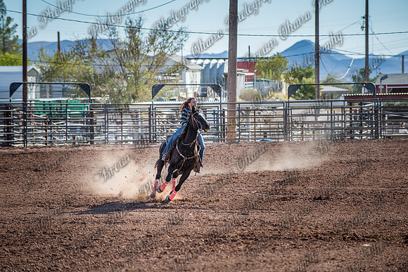 Superhorse Jackpot 11-29-14-3974