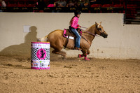 Acelynn Nobles