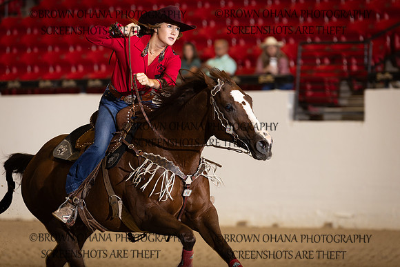 Shiley haynes