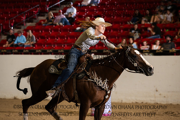 Shiley Haynes