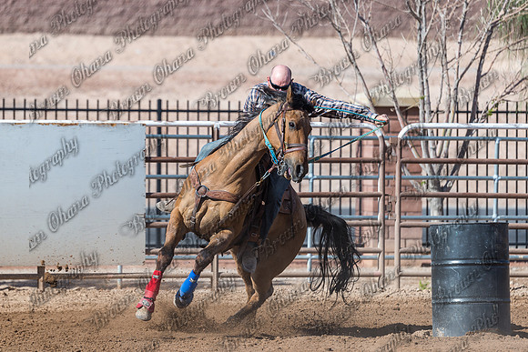 SNGA_April_2015-8788