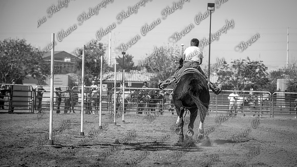 SNGA_April_2015-7813-2