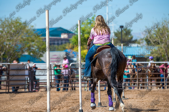 SNGA 4_2015-7817