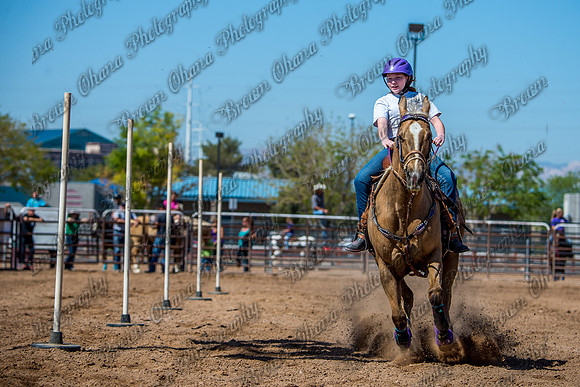 SNGA 4_2015-7848