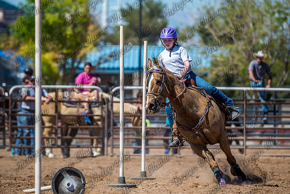SNGA 4_2015-7851