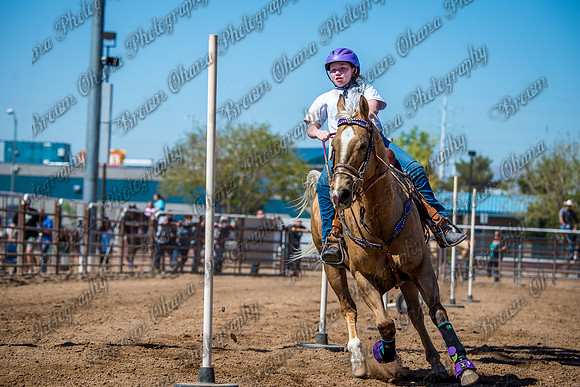 SNGA 4_2015-7853