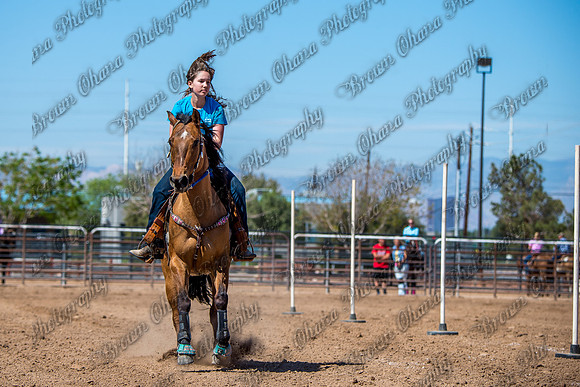 SNGA 4_2015-7880