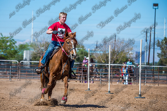 SNGA 4_2015-7889
