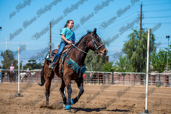 SNGA 4_2015-7902