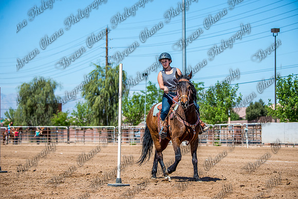 SNGA 4_2015-7911