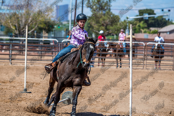 SNGA 4_2015-7938