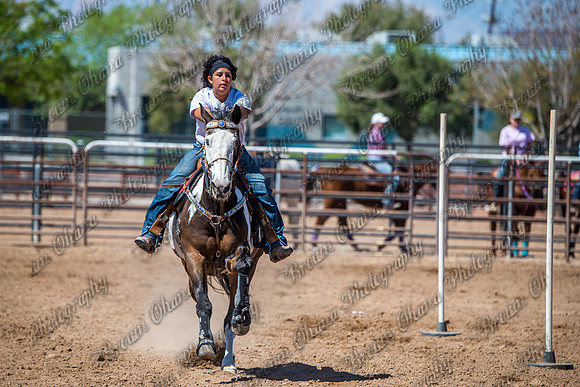SNGA 4_2015-7952