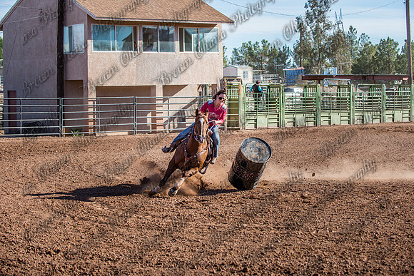 Superhorse Jackpot 11-29-14-3999