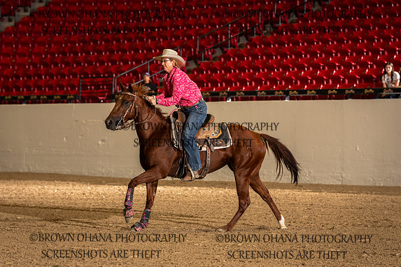 Shawna Ahlstrom-Krebs