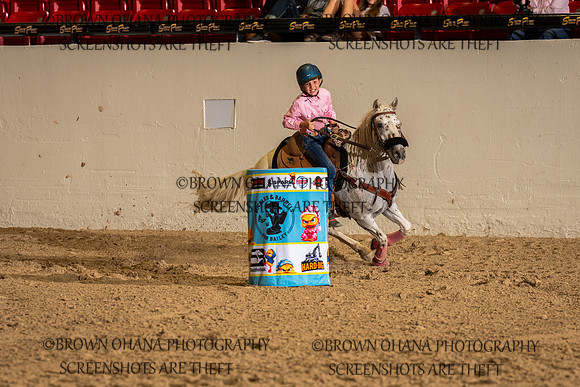 Paislee Goodin
