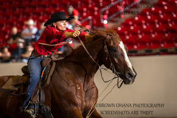 shelby sullivan