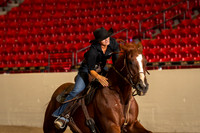 shelby sullivan