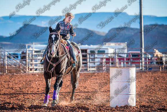 SWBRA 10312015-9558