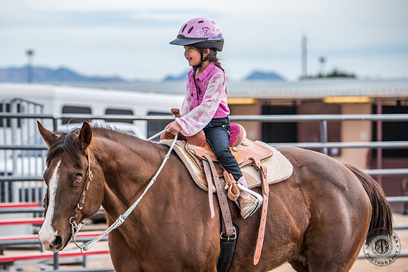 SNGA January2016 Peewee-4
