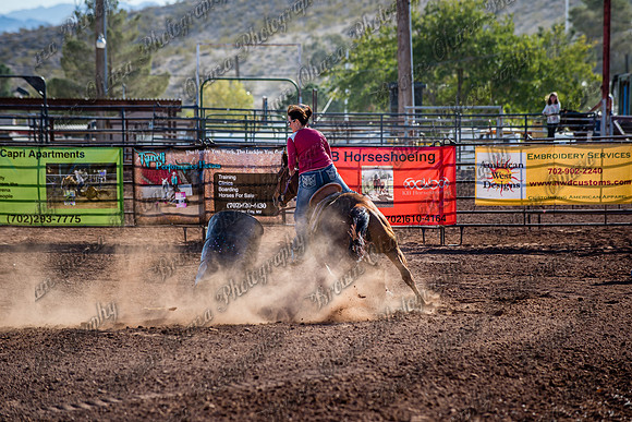 Superhorse Jackpot 11-29-14-3997