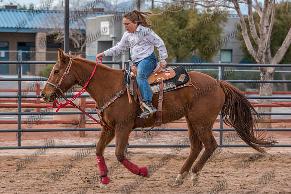 SNGA January2016 Peewee-12