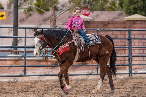 SNGA January2016 Peewee-1