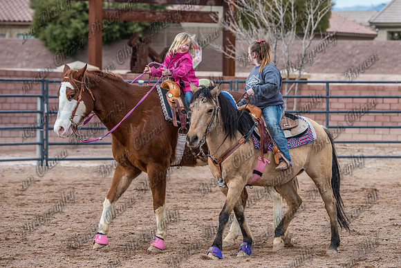SNGA January2016 Peewee-7