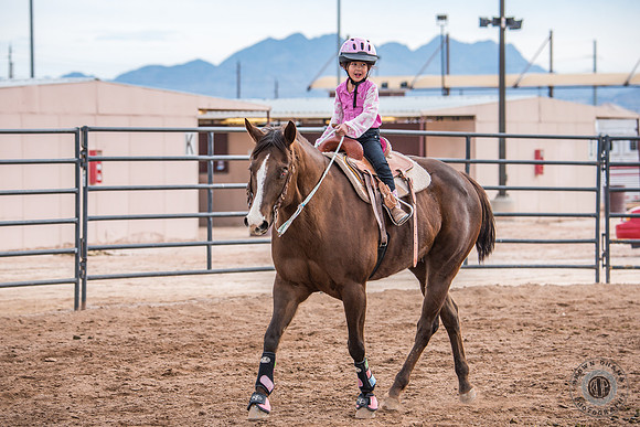 SNGA January2016 Peewee-3