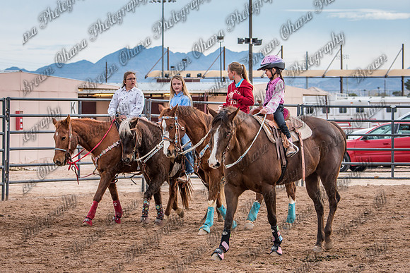 SNGA January2016 Peewee-6