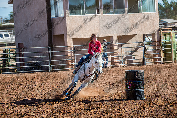 Superhorse Jackpot 11-29-14-3990