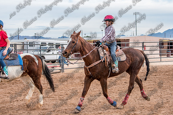 SNGA January2016 Peewee-13