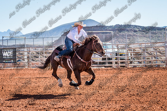 JBS_3413