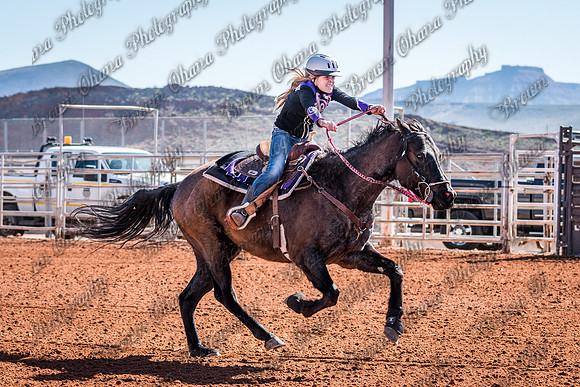 JBS_3527