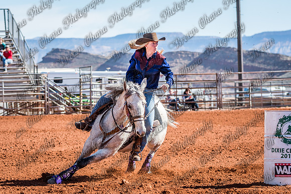 JBS_3531