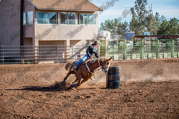 Superhorse Jackpot 11-29-14-4011