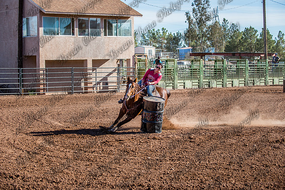Superhorse Jackpot 11-29-14-3998