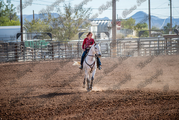 Superhorse Jackpot 11-29-14-3987