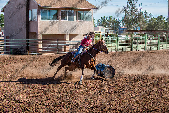 Superhorse Jackpot 11-29-14-4000