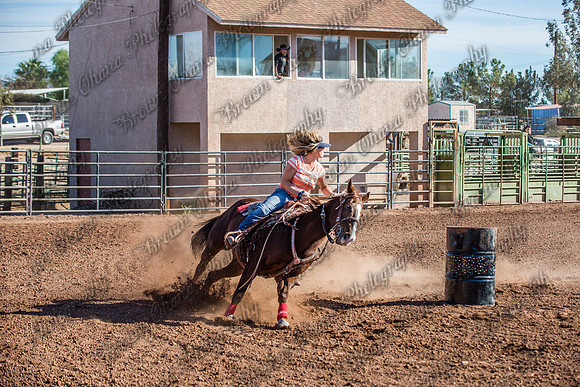 Superhorse Jackpot 11-29-14-4005