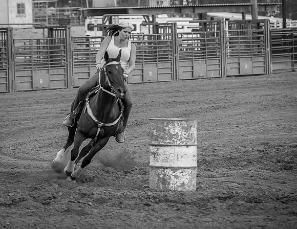 Super Horse Jackpot'14-5302