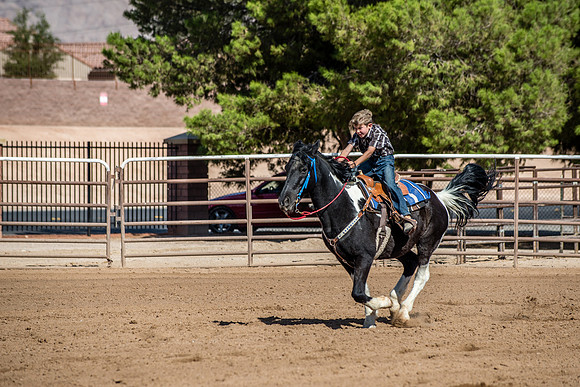 SNGA Barrels 10-14-3350