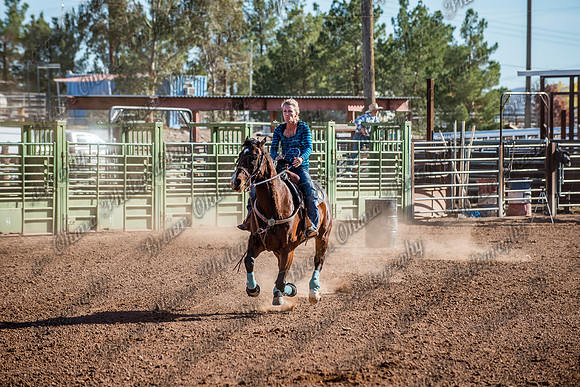 Superhorse Jackpot 11-29-14-3984