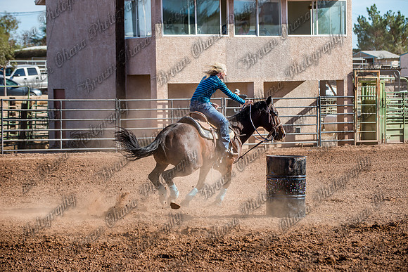 Superhorse Jackpot 11-29-14-3985