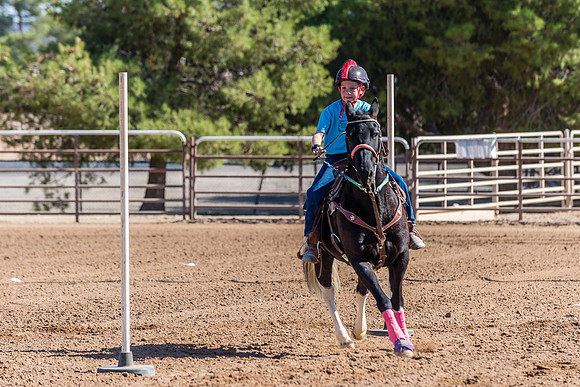 SNGA1014-2819