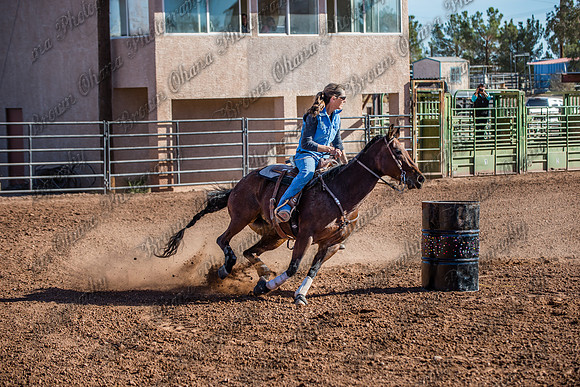Superhorse Jackpot 11-29-14-3996