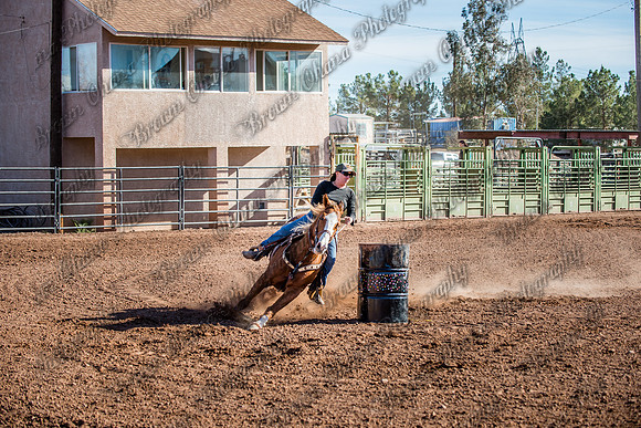 Superhorse Jackpot 11-29-14-4010