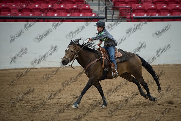 Buckles and Barrels for Bailey '14-1